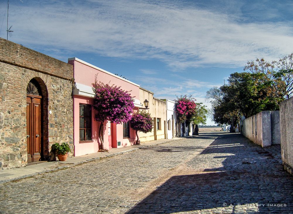 COL DEL SACRAMENTO