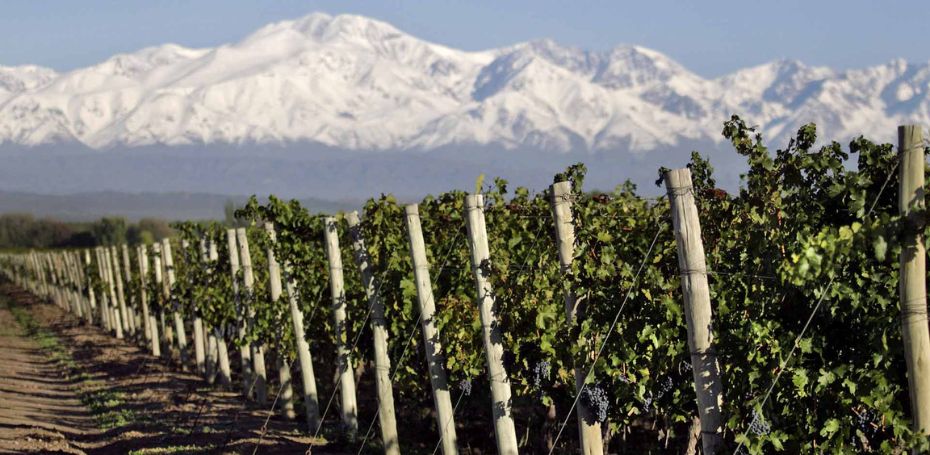 MENDOZA