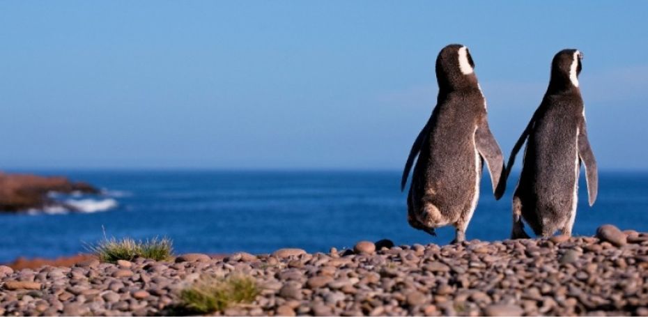 PUERTO MADRYN
