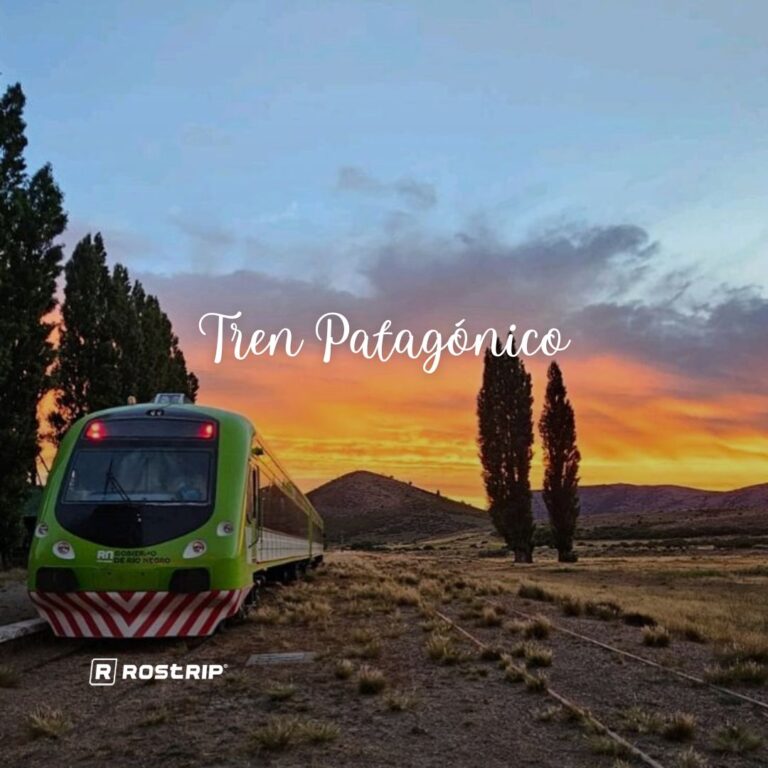 Portada TREN PATAGONICO