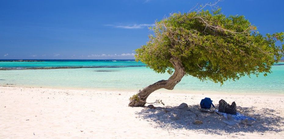 Portada aruba