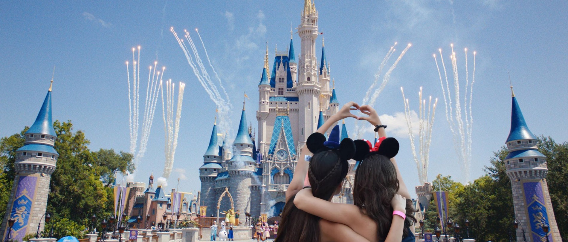 banner-disney-rostrip